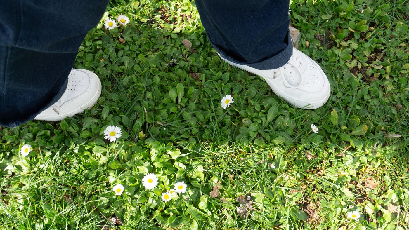 Sneakers on grass