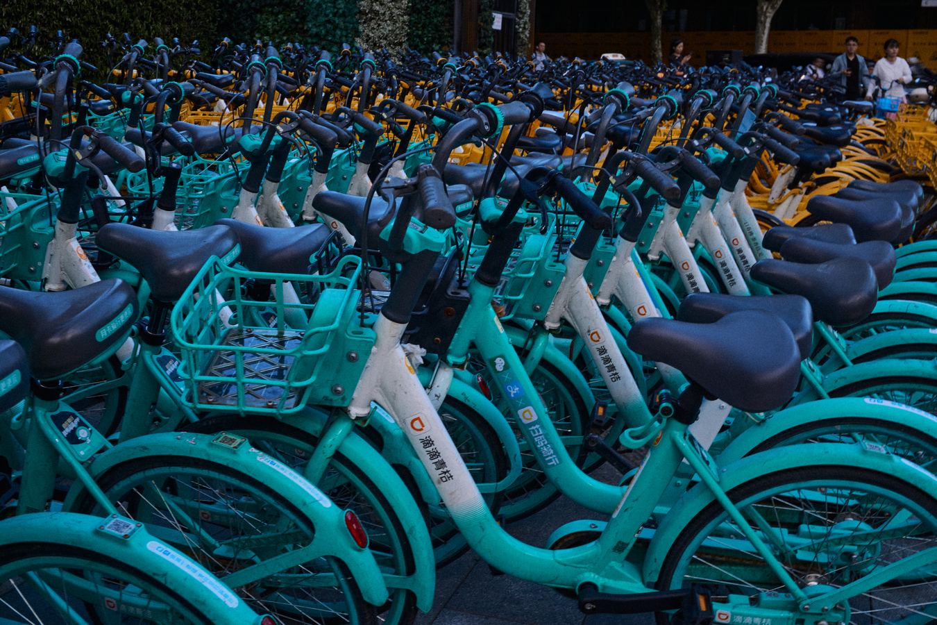 Teal bikes lined up